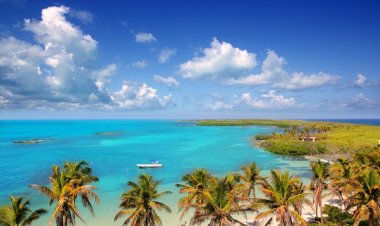 Explora la Maravilla Natural de Isla Contoy