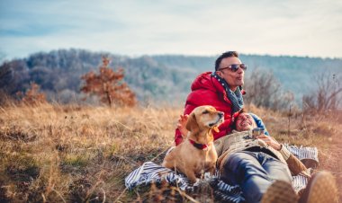 ¡Explora México con tu Mejor Amigo! - 4 Destinos Perfectos para Viajar con tu Mascota