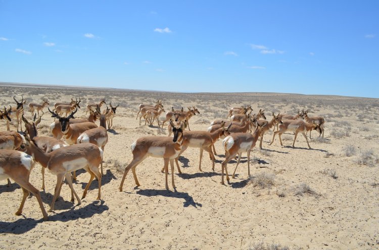 Explora México: 6 Exhubernates Reservas de la Biósfera