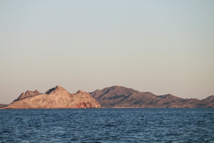 Unete a la Aventura en Isla Tiburón