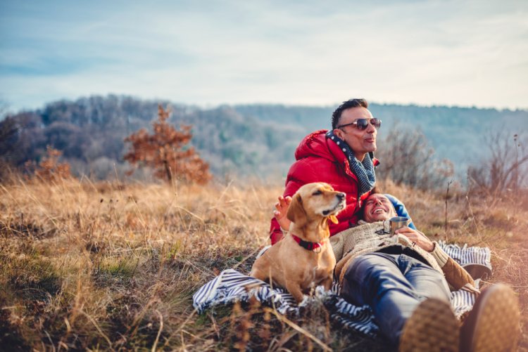 ¡Explora México con tu Mejor Amigo! - 4 Destinos Perfectos para Viajar con tu Mascota