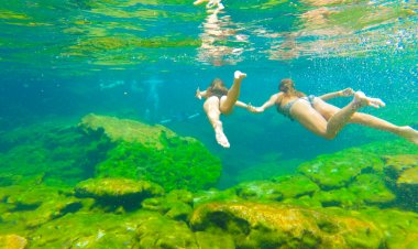 Explora la Riviera Maya en su Camino de los Cenotes