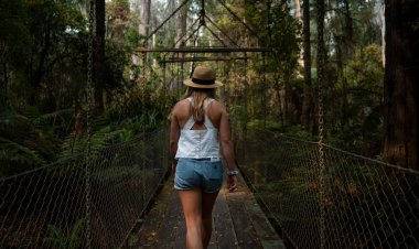 Shinrin Yoku: Absorbe la atmósfera del bosque en la CDMX