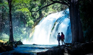 México: Explorando sus Bellos Tesoros de Agua Dulce - Las Cascadas Más Impresionantes
