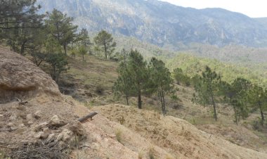 ¡Descubre la Belleza Natural del Cañón de Matacanes!