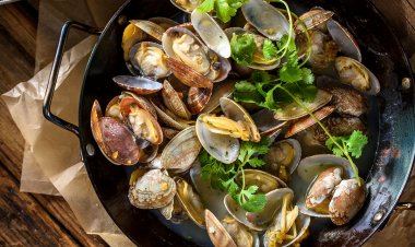 Los Cabos: Encantadoras Delicias Gastronómicas.