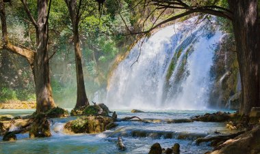 Descubre Chiapas: El Destino de la Cultura