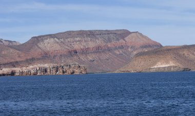 Vive un Sueño: Avistamiento de Ballenas y sus Maravillas en La Paz