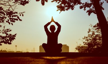 ¡Vive un estilo de vida saludable con Wellness y Wellbeing!