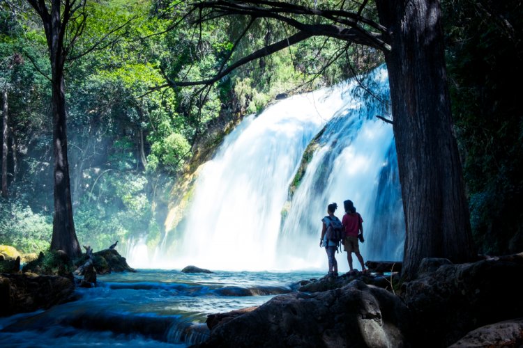 México: Explorando sus Bellos Tesoros de Agua Dulce - Las Cascadas Más Impresionantes