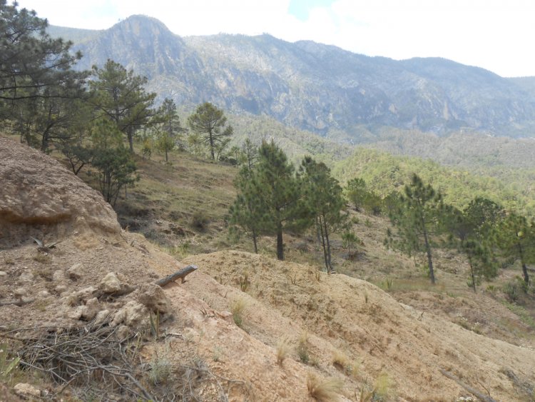 ¡Descubre la Belleza Natural del Cañón de Matacanes!