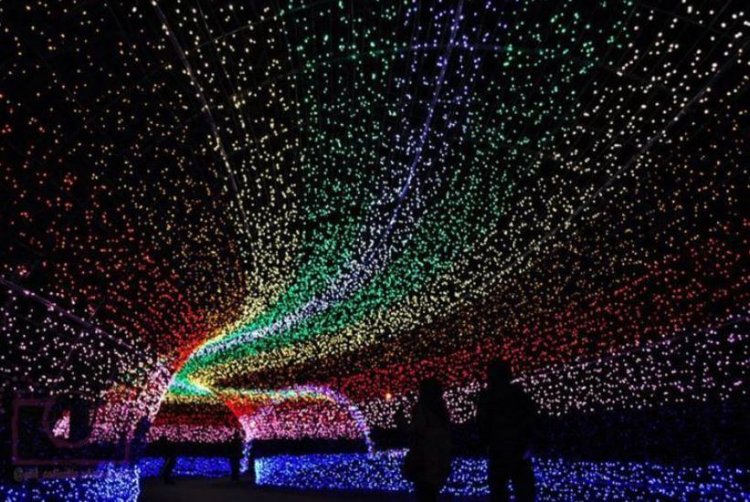 ¡Vive una Navidad Mágica en Querétaro! ¡Descubre el Parque de Luces Navideñas 2021!