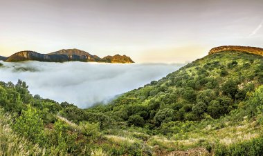 Calvillo, Aguascalientes: Un Encanto Pintoresco