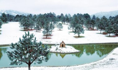 ¡Disfruta la Magia de Navidad en Arteaga!