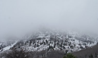 Arteaga: Paisajes de Ensueño para la Mejor Postal