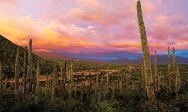 Descubre el Valle de Tehuacán-Cuicatlán: Una Joya Cultural de México.