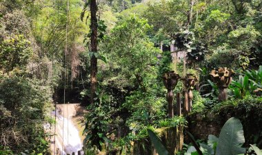 Explora Xilitla: Magia, Arte, Surrealismo y Exuberancia.