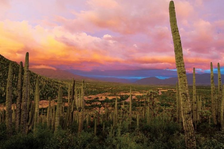 Descubre el Valle de Tehuacán-Cuicatlán: Una Joya Cultural de México. - MexicoTrip - Viaja por México
