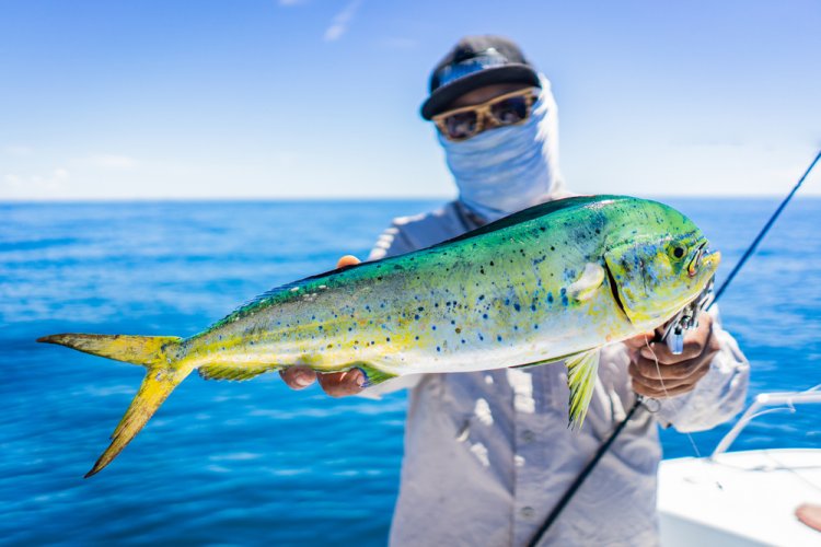 Explora México: Pesca Deportiva al Máximo.