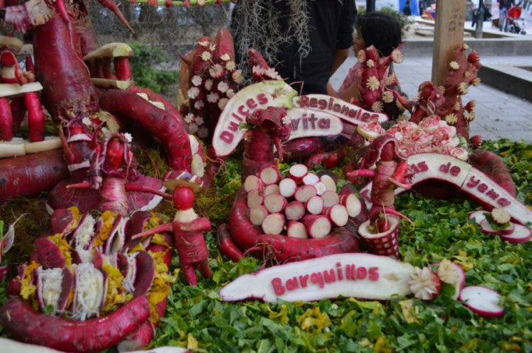 Descubre la Tradición Única de Oaxaca: La Noche de los Rábanos Mágicos.