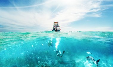 Explora el Maravilloso Mundo Submarino de Cozumel: Experiencia de Buceo sin Igual.
