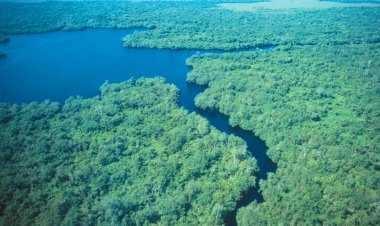 4 Paraísos Ocultos de México que Debes Descubrir