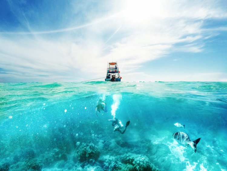 Explora el Maravilloso Mundo Submarino de Cozumel: Experiencia de Buceo sin Igual.