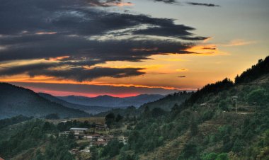 Descubre el Paraíso Efímero de Angangueo: Una Experiencia Única para Mariposas y Turistas.