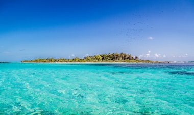 3 Islas Secretas en México: ¡Descubre lo que te Está Sorprendiendo!