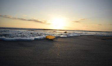 Surfear en México: Descubre las 3 Mejores Playas