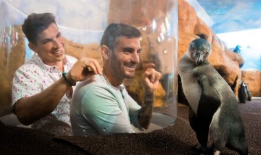 Descubre los 4 Acuarios Más Impresionantes de México