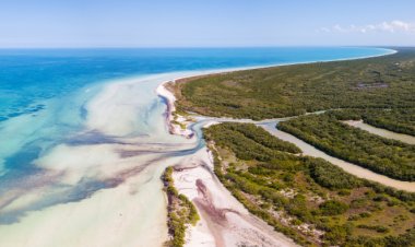 Explora el mundo submarino de Holbox