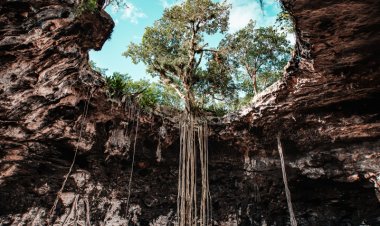 Explora las Grutas de Yucatán: Una Aventura Espeleológica Inolvidable.