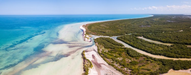 Explora el mundo submarino de Holbox