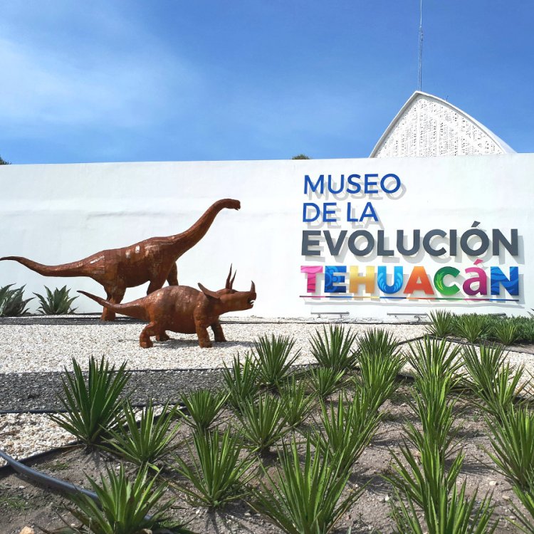 Explora El Museo de la Evolución en Tehuacán, Puebla.