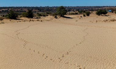 ¡Conoce el Sorprendente Desierto Miniatura de Tlaxcala!
