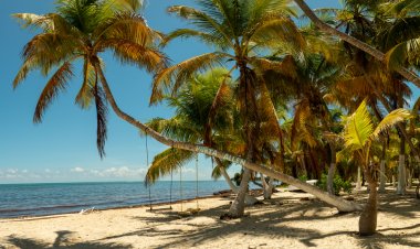 Punta Allen: Un  Misterio del Caribe Mexicano