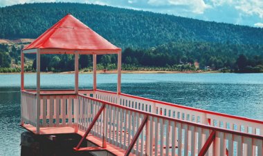 Conoce el Tesoro Mágico del Estado de México: El Oro