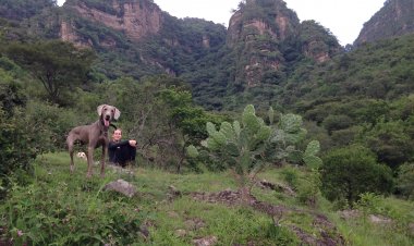 ¡Explora el Pet Friendly Destino Soñado en México!