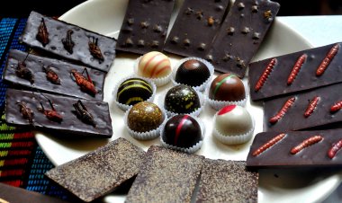 ¡Experimenta el Festival de Chocolate y Café: Saborea el Placer!