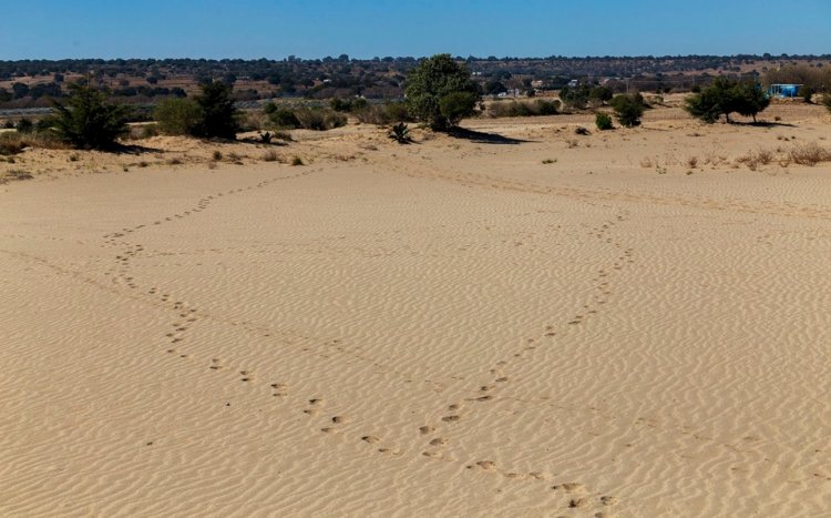 ¡Conoce el Sorprendente Desierto Miniatura de Tlaxcala!