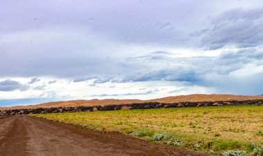 Explora el paraíso de energías ecológicas en Mexicali