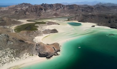 Explora el Oasis de Baja California Sur: Un paraíso de Naturaleza y Cultura.