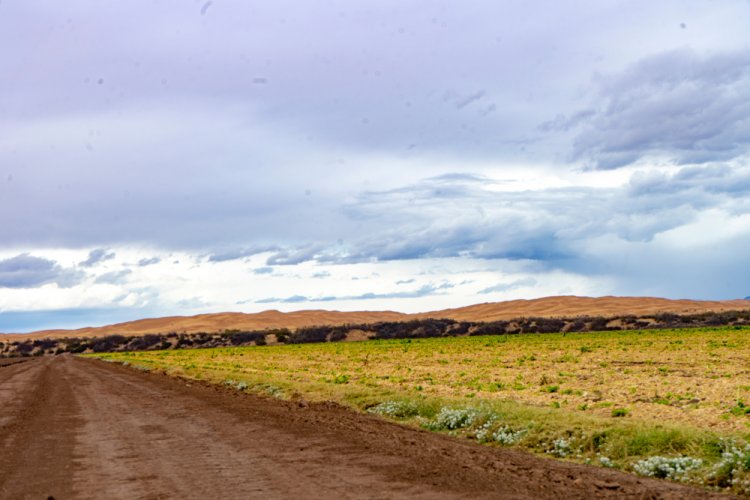 Explora el paraíso de energías ecológicas en Mexicali