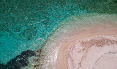 ¡Explora la Magia de la Isla de Enmedio Veracruz!