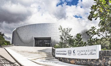 Explora la biodiversidad de CDMX: ¡Un recorrido único!