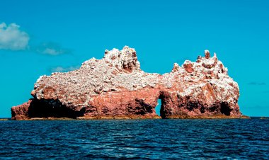 Descubre los Islotes: El Refugio del Lobo Marino de Cortés.