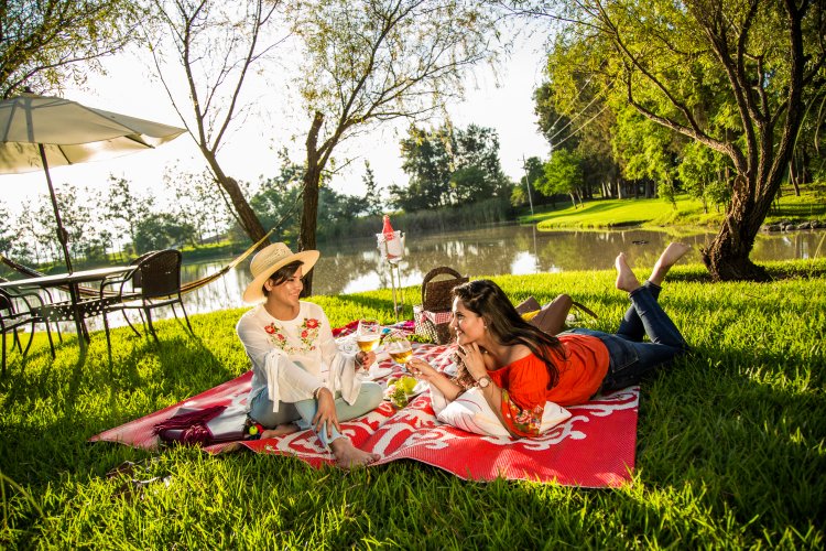 Disfruta un Picnic Mágico en los Mejores Lugares de México.