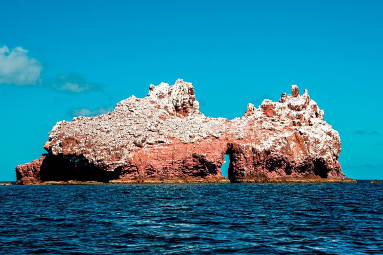Descubre los Islotes: El Refugio del Lobo Marino de Cortés.