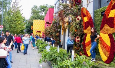 ¡Explora la Magia de la Naturaleza en el Festival de Flores y Jardines de CDMX!